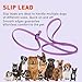 Dogline Biothane Slip Dog Leash - for Small, Medium and Large Dogs - Odor Free Slip Lead, Heavy Duty and Durable Material Kennel Lead - Amethyst Purple - 5ft L x 3/8in W