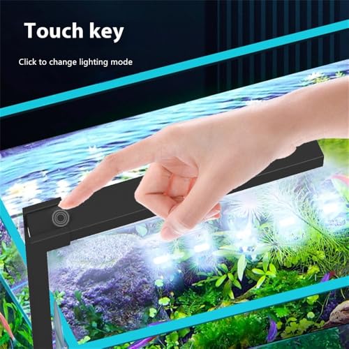 Image of LED Aquarium Light Desktop Mini Fish Tank Lamp Full Spectrum White Color Dual Mode for Betta Fish Mini Aquarium Tank