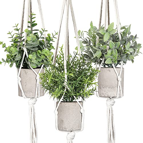 Mini plantes artificielles de qualité supérieure avec macramé mural - 2