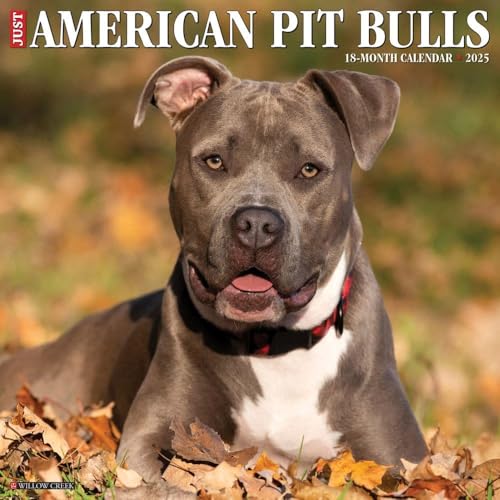 Just American Pit Bull Terriers 2025 12' x 12' Wall Calendar