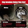 Pest Control Worldwide Rats & Mice Prevention for Drains, Stainless Steel Drain Rat Flap, Non-Return Valve, Rat Blocker for Sewers, fits drains (95-110mm, 4 inch)