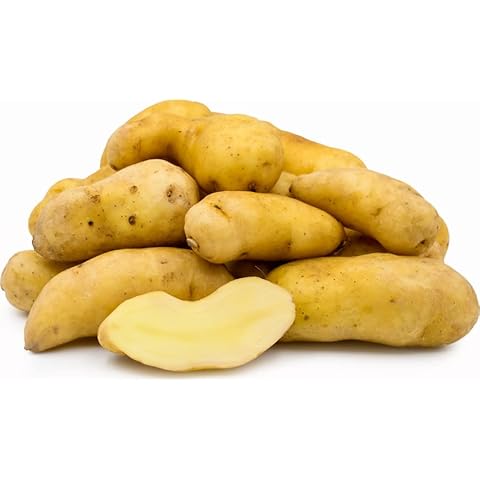 Seed Potato Ratte Second Early Potatoes Grow Your Own Vegetables x 20 Tubers Cover