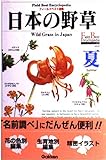日本の野草 (夏) (フィールドベスト図鑑 Vol. 2)