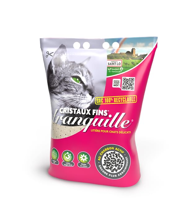 Litière pour chat anti-odeur en silice et charbon actif pour bac propre