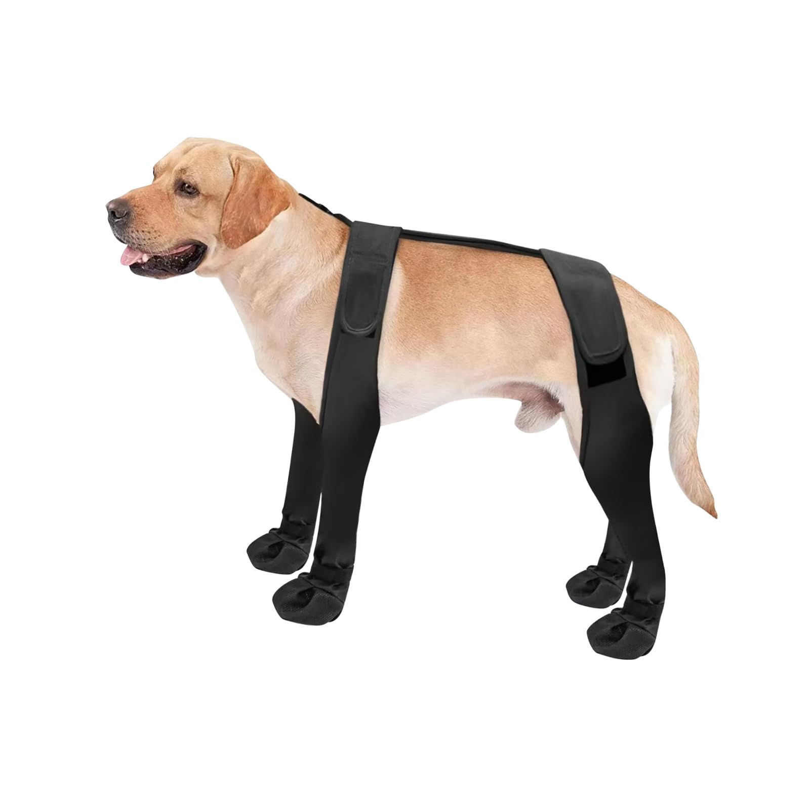 Leggings per cani, stivaletti con bretelle impermeabili, S