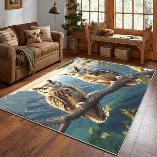2x3 Entryway Area Rugs, Non Slip Owl Rug, 3D Bird Rug, Owl Carpet for Kitchen Bedroom, Small Indoor
