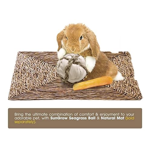 Image of SunGrow Assorted Rabbit & Cat Chew Balls, Teething Activity Toy for Pocket Pets, Improves Dental Health, Environment Friendly, Stress Reliever (Corn Leaf, 6 Pcs)