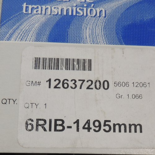 General Motors 12637200 Serpentine Belt Solution Panne Alternateur Courroie