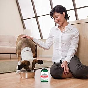 Vets Best Healthy Coat Shed Itch Relief Dog Supplements Relieve Dogs Skin Irritation and Shedding Due to Seasonal Allergies or Dermatitis 50 Chewable Tablets