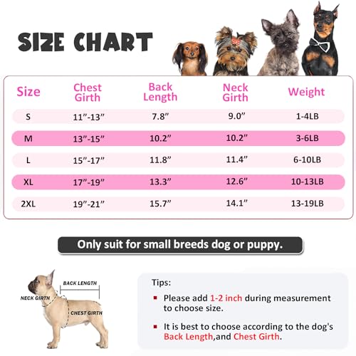 HDKUW Jaqueta de arnês para cães pequenos, estampa de letras, capa de chuva refletiva para cães, cas