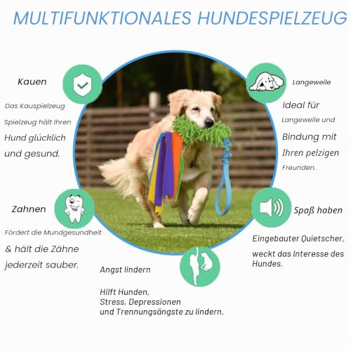 TEKCAM Hundespielzeug Mop Bungee Tug Spielzeug mit Squeaky,Interaktives Spieltrainingsseil Hunde Spielzeug für Kleine Mittlere GroßE Hunde Training Agility, Tauziehspielzeug