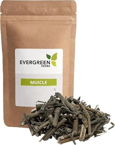 Muicle Herb Desert Honeysuckle