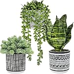 Winlyn 3 Pcs Small Potted Plants Artificial Succulents Hanging and Faux Tropical Snake Plant in Black Geometric Pots for Modern Home Kitchen Windowsill Table Indoor Outdoor Greenery Decor (3hduo)