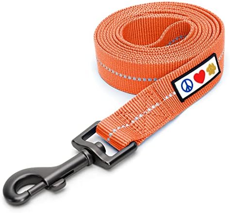 Pawtitas 6 FT Recycled Dog Leash with Reflective Stitched Thread Stitched on Side| Medium Reflective Dog Leash Made from Plastic Bottles Collected from Oceans – Coral 6 ft Dog Leash