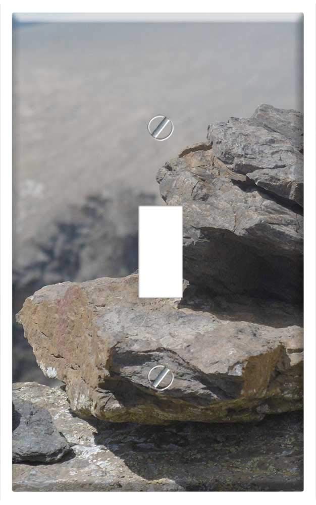 Switch Plate Single Toggle - Pierre Roche Mountain Height Nature Switzerland