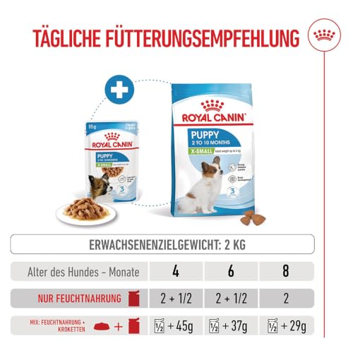 ROYAL CANIN X-SMALL Puppy Stückchen in Soße Feuchtnahrung für Hunde 12 x 85 g