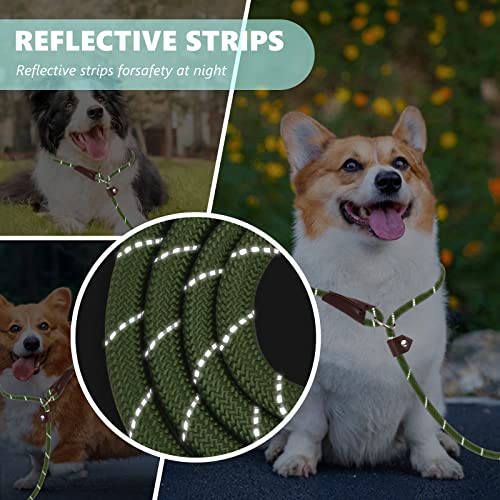 Aicsdco 1/2" X6Ft Slip Lead Dog Leash,Heavy Duty Dog Leash For Large,Medium,Small Dogs,Strong Durable No Pull Dog Training Leash With Highly Reflective Threads For Walking. #TOP5