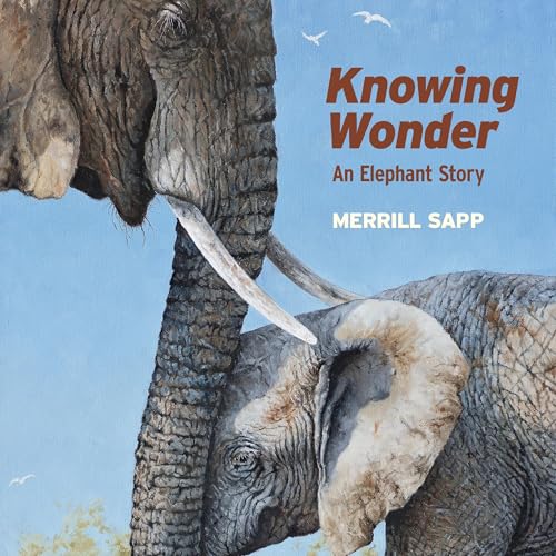 Page de couverture de Knowing Wonder