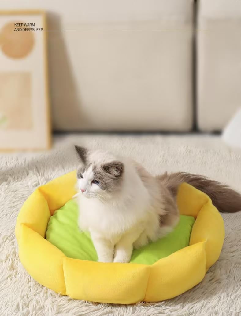 Lit d'hiver chaud pour chat avec tapis universel de fournitures animaux