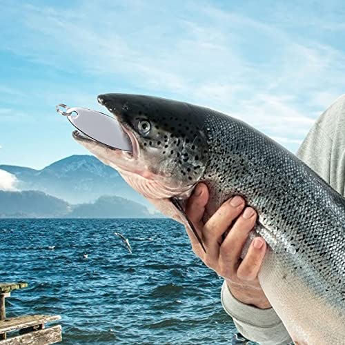 Fregito 5Pcs Fishing Lures Fishing Spoons, Trout Lures Bass Lures Hard Metal Spinner Baits For Salmon Bass Trout (Silver-A) #TOP4