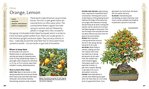 The Bonsai Beginner's Bible - Image 10
