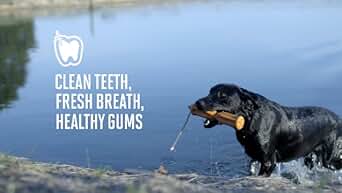 eukanuba small bite adult dog food