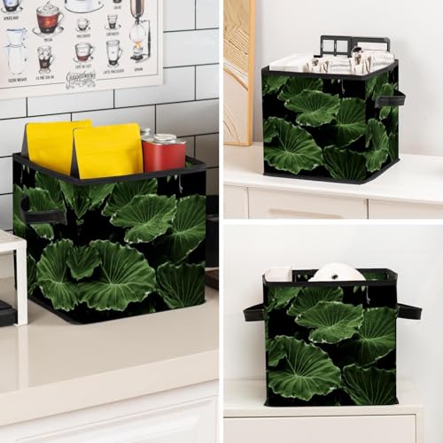 Placard et chambre ordonnés avec ce cube de rangement vert - 8