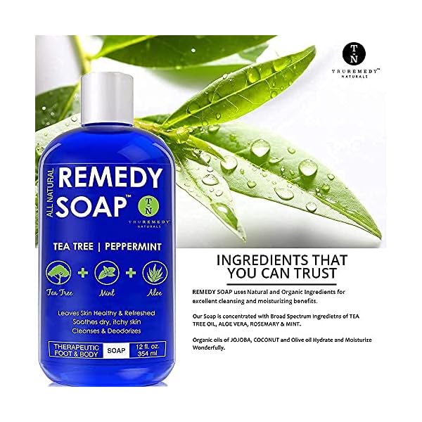 Remedy-Soap-Tea-Tree-Oil-Body-Wash-Helps-Body-Odor-Athletes-Foot-Jock-Itch-Ringworm-Yeast-Infections-Skin-Irritations-Shower-Gel-for-WomenMen-Natural-Mint-Aloe-Skin-Cleanser-12-Oz Truremedy Naturals Remedy Tea Tree Oil Body Wash - Body Wash That Helps Body Odor, Ringworm, & Skin Irritations - Tea Tree Soap Body Wash (1 pk, 12 oz)