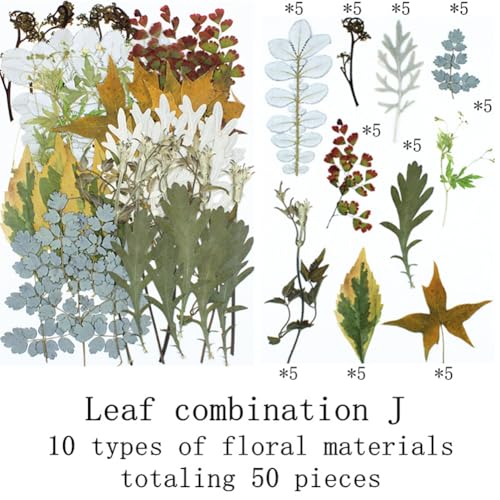 Kit 50 hojas y flores secas prensadas para manualidades miniatura 2