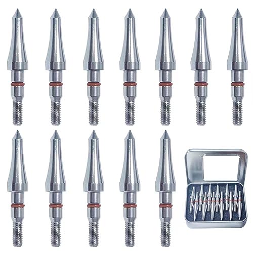 Field Points arrowheads 100 Grains Archery Field Points 5/16 Stainless Steel Screw in Archery Field Tips and Broadheads (1 Dozen 12 PCS)