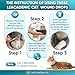 Cat Wound Care in Drops | Cat Cone May Be Beneficial Here | Nano Silver + Chlorhexidine in the Composition to Care the Skin with Bites, Scratches, Redness, Irritation, and Sutures After Surgery | 2 Oz