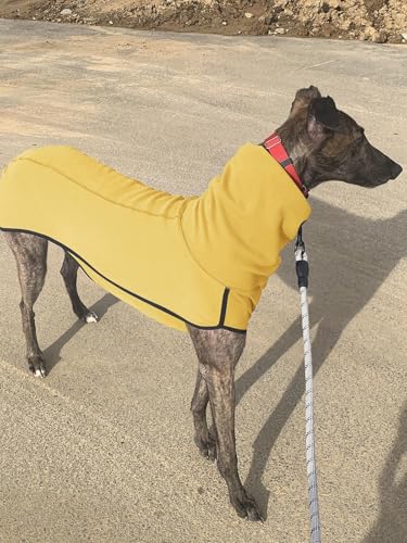 Imily Bela Hundepullover Fleece Rollkragen Hundemantel Warmer Weste Pullover Outdoor Hundejacke Winterkleidung für Kleine Mittel Große Hunde,Gelb,M