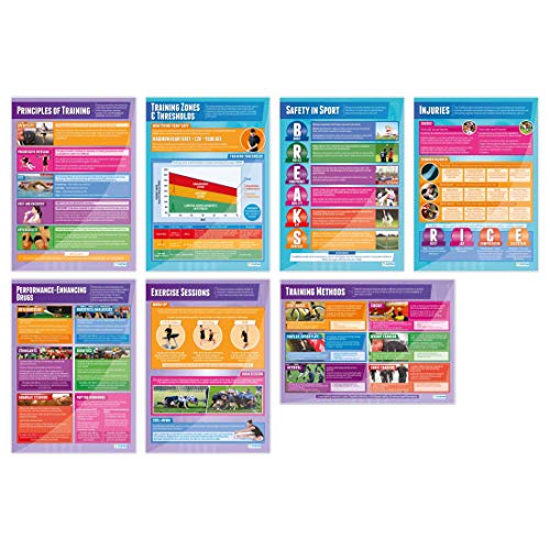 Daydream Education Physical Training Posters - Set Of 7 | Pe Posters | Gloss Paper Measuring 33” X 23.5” | Physical Education Charts For The Classroom | Education Charts #TOP21
