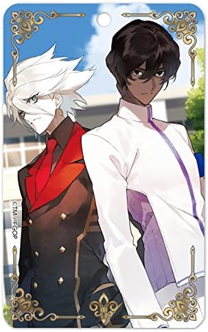 Amazon Fate Grand Order パスケース ヴァーサス アニメ 萌えグッズ 通販