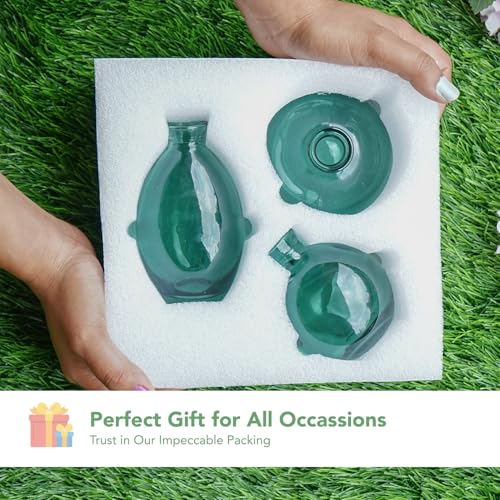 Mini articles de décoration de table centrale et petits vases en verre Ekhasa - 8