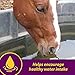 Farnam Horse Health Apple-Dex Apple Flavored Electrolytes 30 pound 240 days