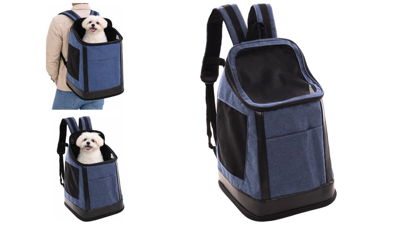 Sac à dos chat grande taille transport chien stable avec cadre renforcé