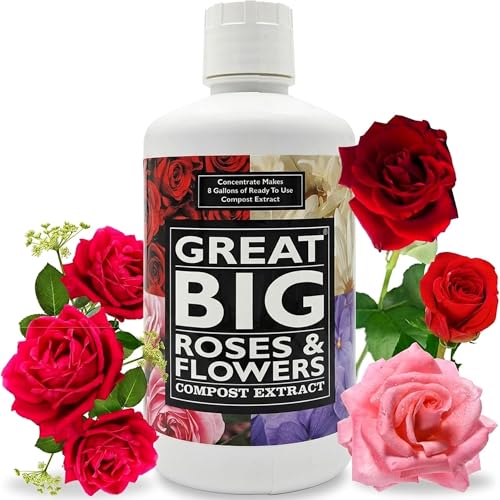 Great Big Roses – Soil and Rose Fertilizer Booster to Grow...