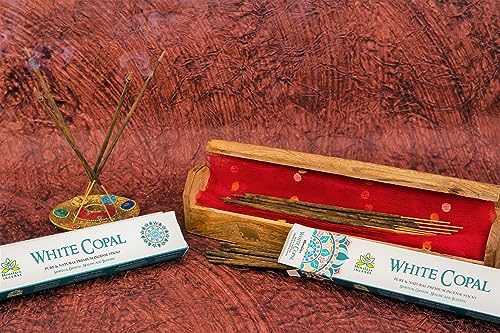 Image of Himalaya Premium Incense Sticks for Everyday Use | Aroma Fragrance Sticks|Pooja Room Items for Home & Prayers | Freshness Positive Energy (White Copal) (Pack of 12, Each of 15 GM)