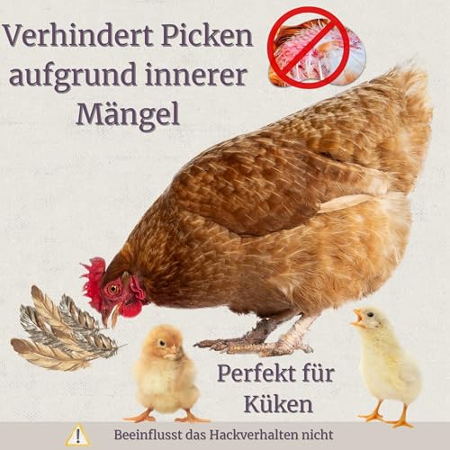 Federpicare Nahrungsergänzungsmittel für Fleisch und Kannibalismus, 500 g, Federmehl, vollständige Ernährung für Hähnchen, Vitamine, Mineralien und Aminosäuren – Bild 3