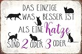Hergestellt in Deutschland Schatzmix R0492 Spruch Besser ist eine Katze oder 2 Metallschild Wanddeko 20x30 tin Sign Blechschild, Mehrfarbig