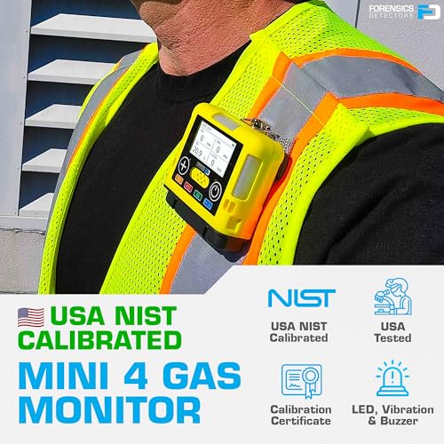 Gas pipeline monitoring system
