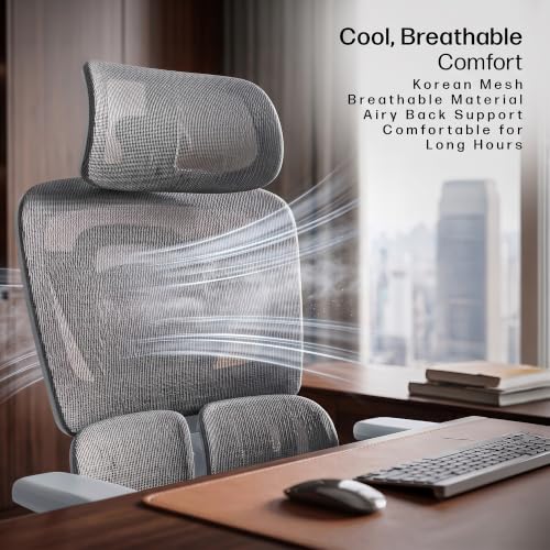 Image of DROGO Ergosphere Ergonomic Office Chair for Work with 3-Gear Floating Adjustable Backrest | 4D Armrest, 3D Headrest | Mesh Computer Chair with 135 Recline Lock | Dual Lumbar Support & Footrest (Grey)
