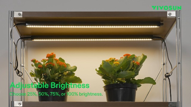 Image of VIVOSUN T5 Grow Lights for Indoor Plants, 3000K Full Spectrum, 2FT, 4-Pack
