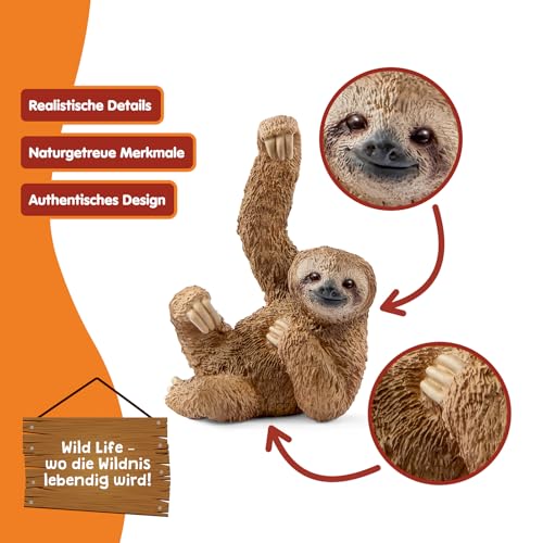 SCHLEICH WILD Life | Faultier 14793 | detailgetreue Tierfigur & Sammelfigur | Zoo Spielzeug | Geschenk für Jungen und Mädchen | Deko für Geburtstag | Spielfigur ab 3 Jahren | 3 x 4 x 6 cm