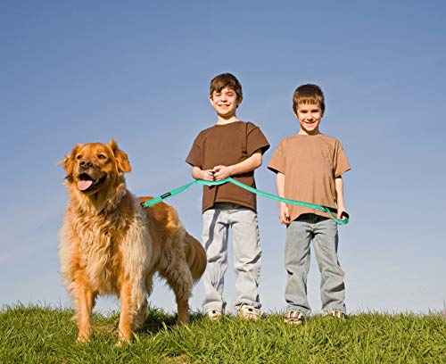 Wondertail Two Handles Dog Training Leash,Control Safety Dogs Rope Leashes,Durable Highly Reflective Leashes For Small Medium Large Dogs(Green,5Ft) #TOP6
