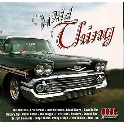 10 Cd Wallet - Wild Thing