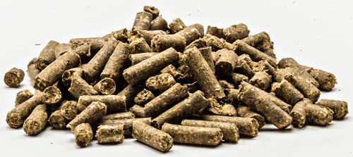 Superfood Gastro-Revital-Pelett 14 kg - Das perfekte Pferdefutter für Problemstellungen im Bereich Stoffwechsel & Magen/Darm