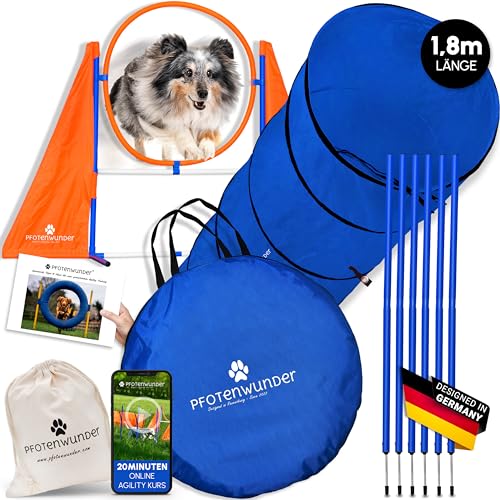 Agility-Medium-Set Hunde groß + 21 Min. HUNDESCHULE - 6 Slalomstangen, 1 Tunnel, für kleine & große Hunde, Training Sport Spielzeug Cavaletti Parcour Steckhürdenset Zubehör Hürden