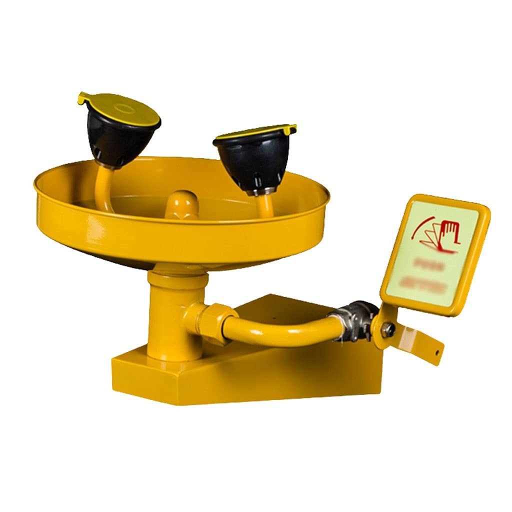Station de Lavage oculaire Murale d'urgence pour Le Lavage des Yeux et du Visage, en Acier Inoxydable 304 avec revêtement ABS, Double tête de pulvérisation, raccordement à la plom,